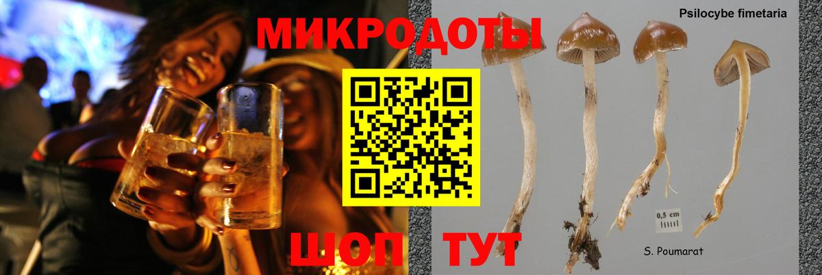 Псилоцибиновые грибы мухоморы Аргун